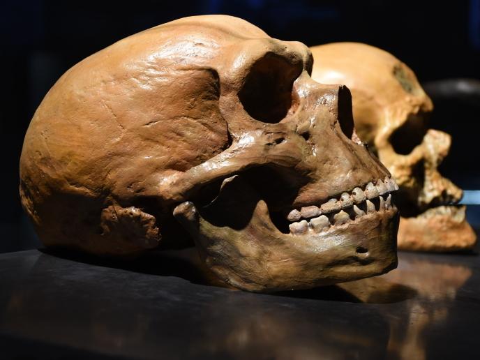 Cover image of Speeding up the process of dating ancient bones