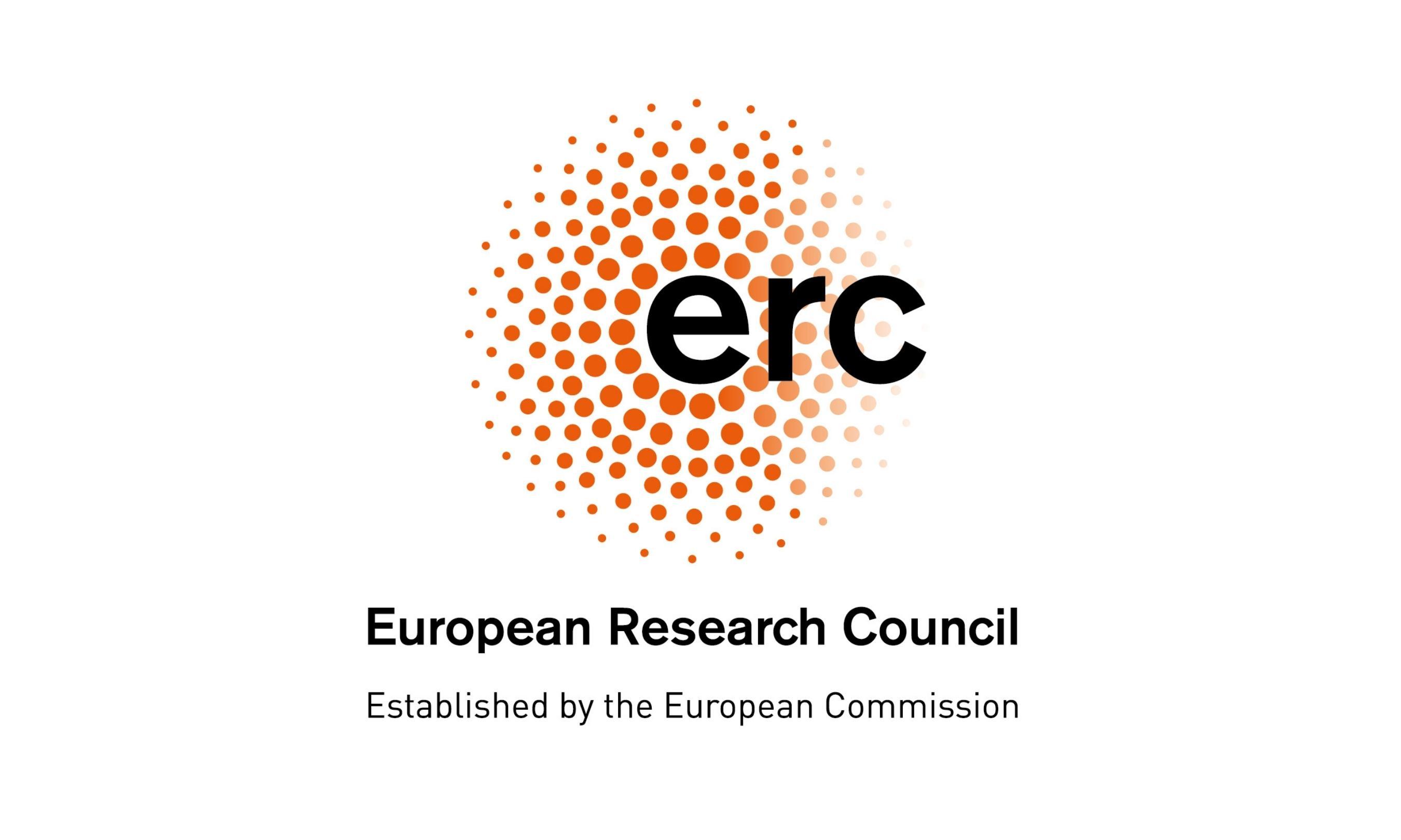 Cover image of  ERC Starting Grant Mentoring Event