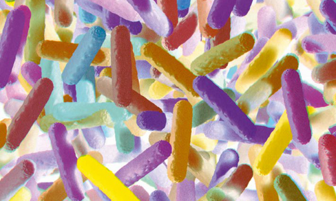 Microbiome