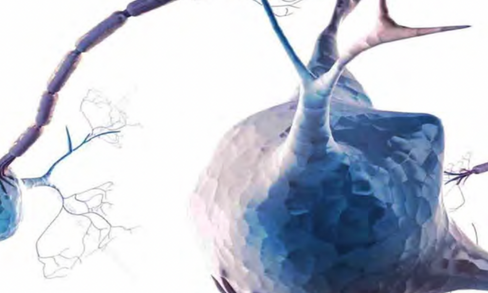 Neurosciences