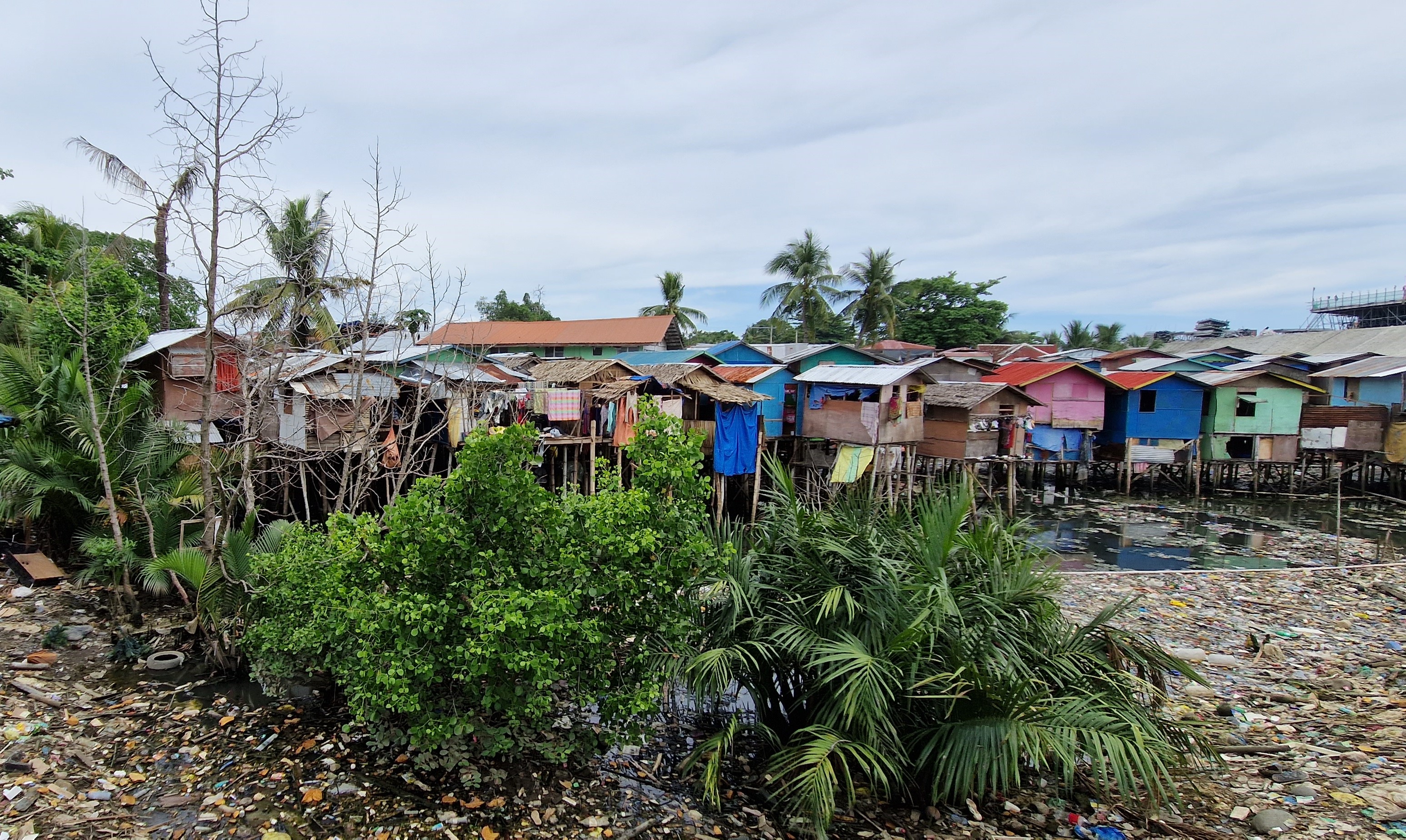 Climate action in fast-growing cities