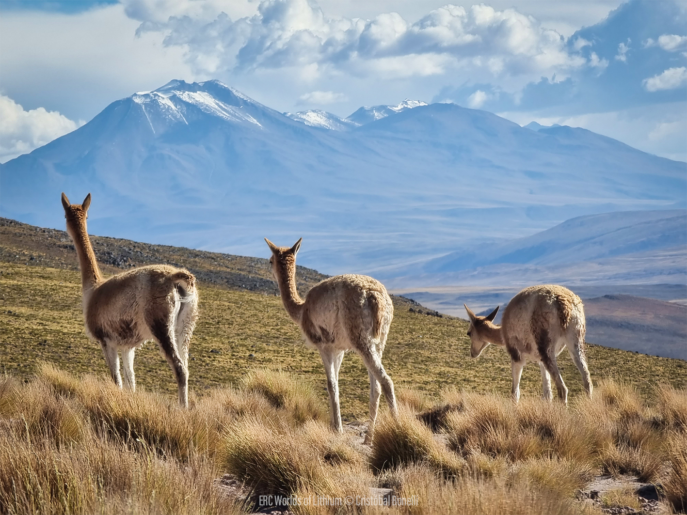 Lithium: a decarbonisation game-changer Lithium: a decarbonisation game-changer