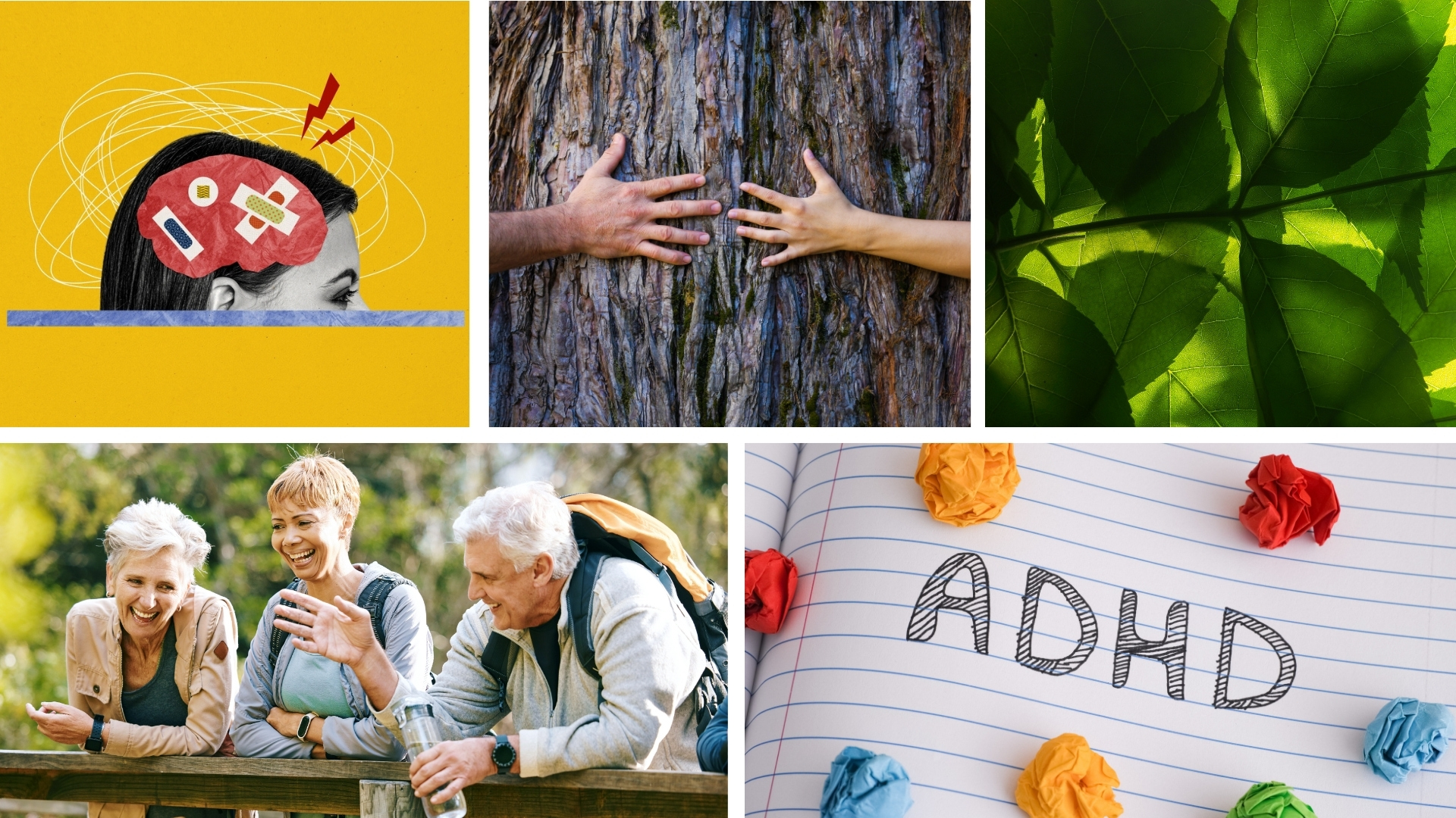 Starting Grants 2025: Examples of projects|ERC