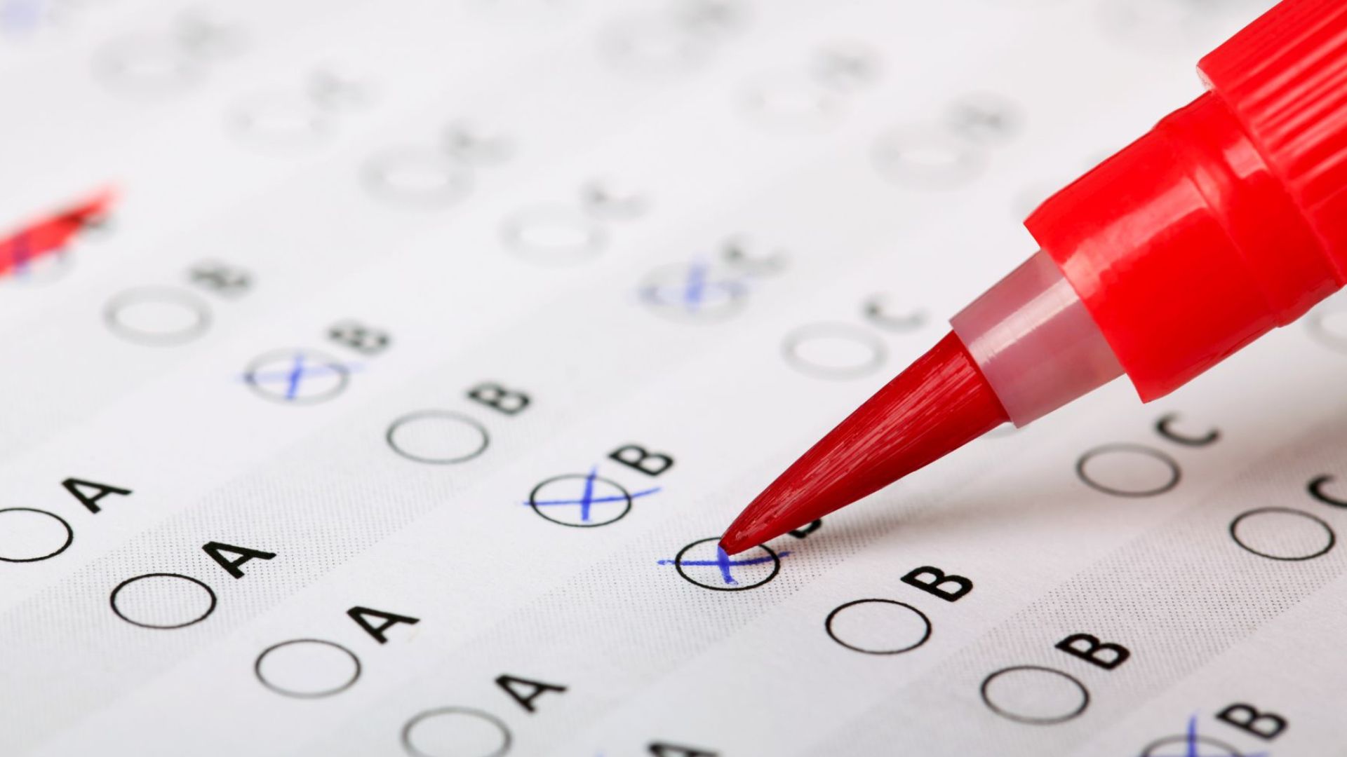 A final, captivating image of Bri's seductive allure