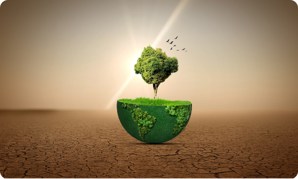 Phosphorus, politics and water for a more resilient world