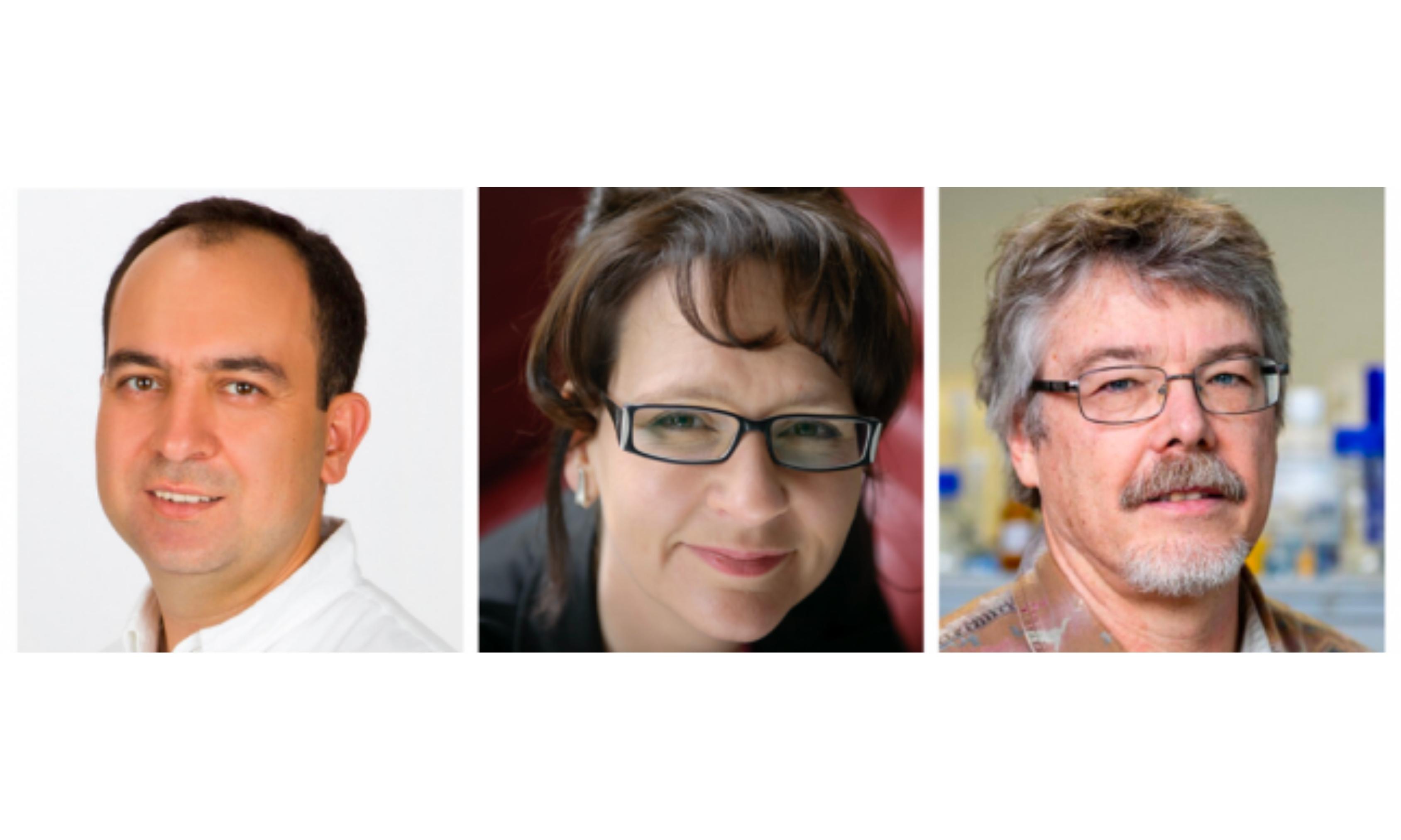 Cover image of Top-up funding awarded to ERC grantees to spur innovation Cover image of Top-up funding awarded to ERC grantees to spur innovation