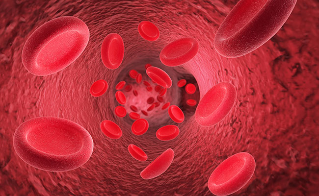 Epigenetic-and-metabolic-regulation-of-endothelial-heterogeneity-(EMERGE).jpg