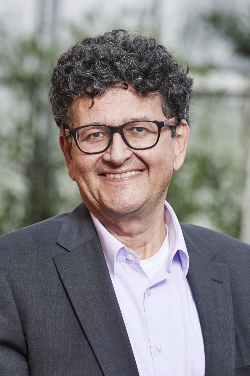 Holger Puchta