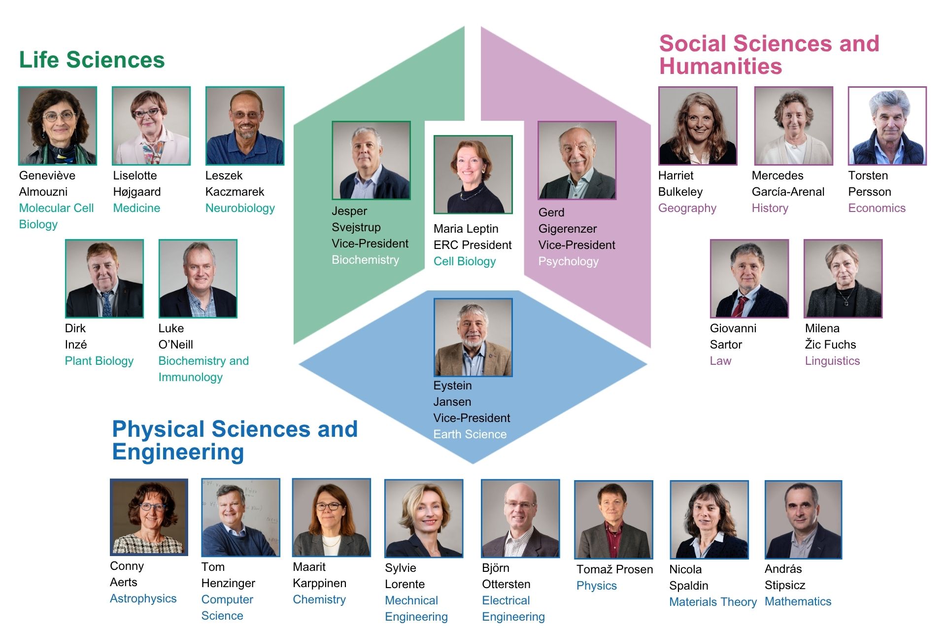 ERC Scientific Council composition