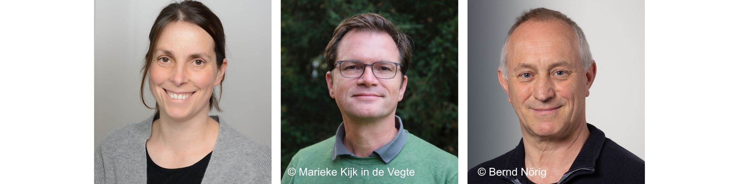 Physics and psychology in motion: Understanding crowd movement