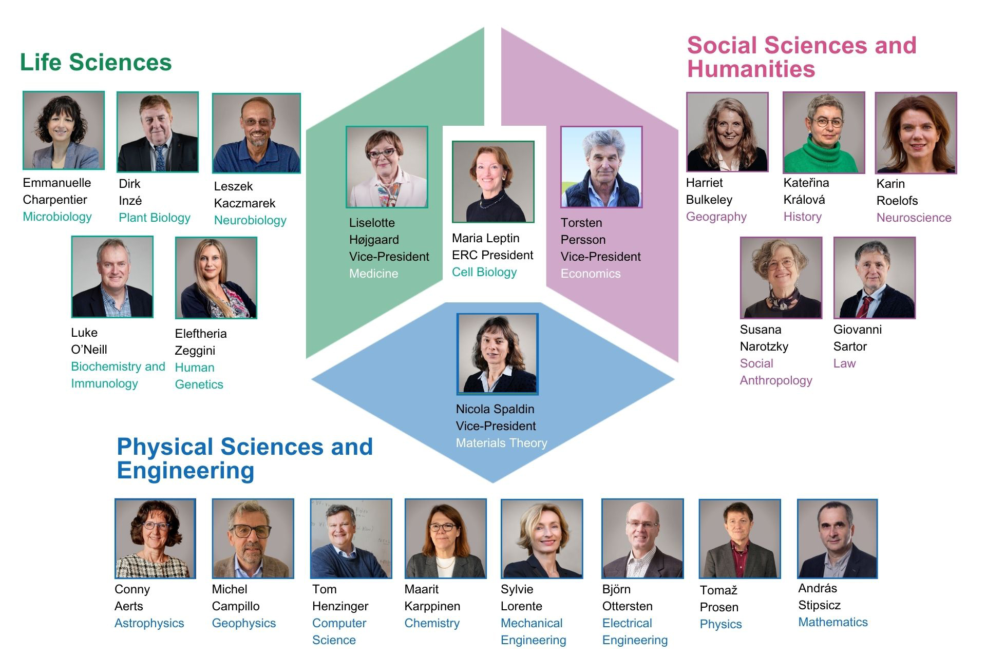 ERC Scientific Council
