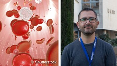   Nanoparticles to fight cancer