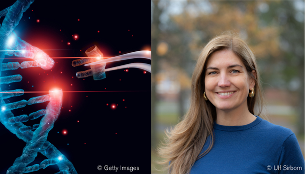 Advancing whole-embryo gene editing for scientific discovery