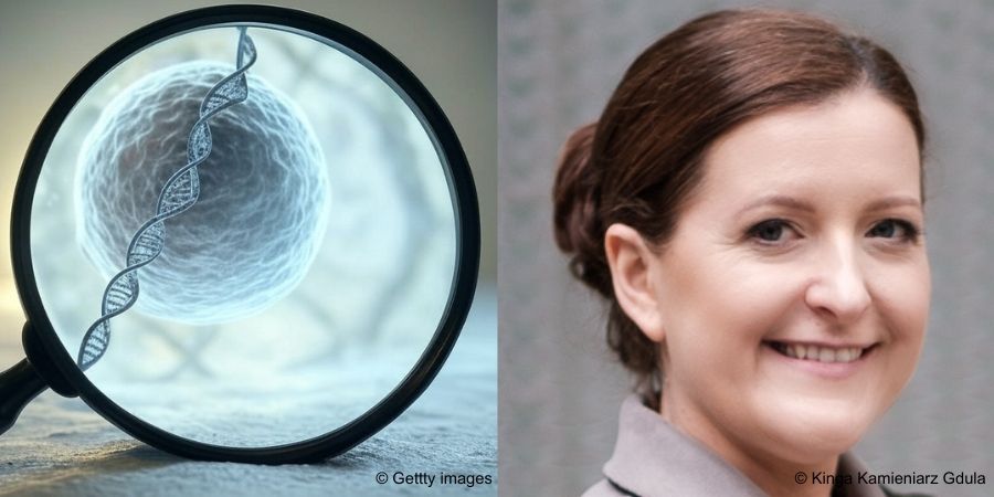 Visualising blood flow in capillary vessels