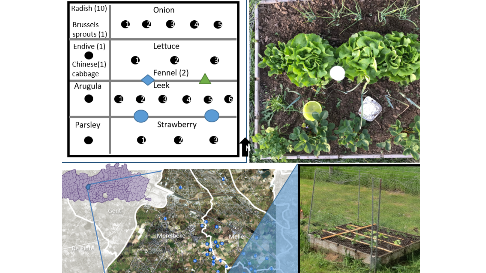 Citizen science, science-related hobbies and participation in informal  science activities