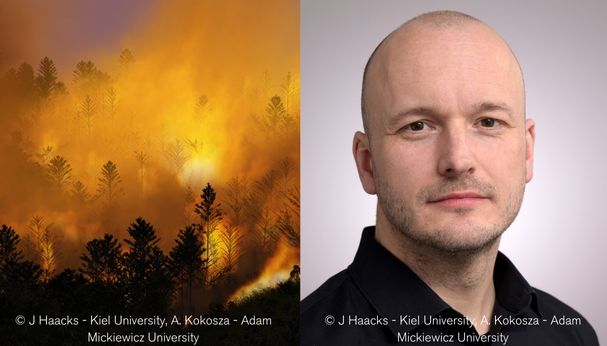 Combatting wildfires with AI