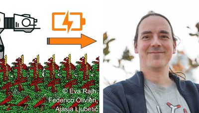 Turning proteins into powerful molecular motors