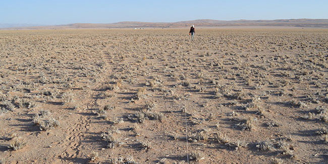 Dryland-ecosystem---DSC_0105_MAGAZINE.jpg