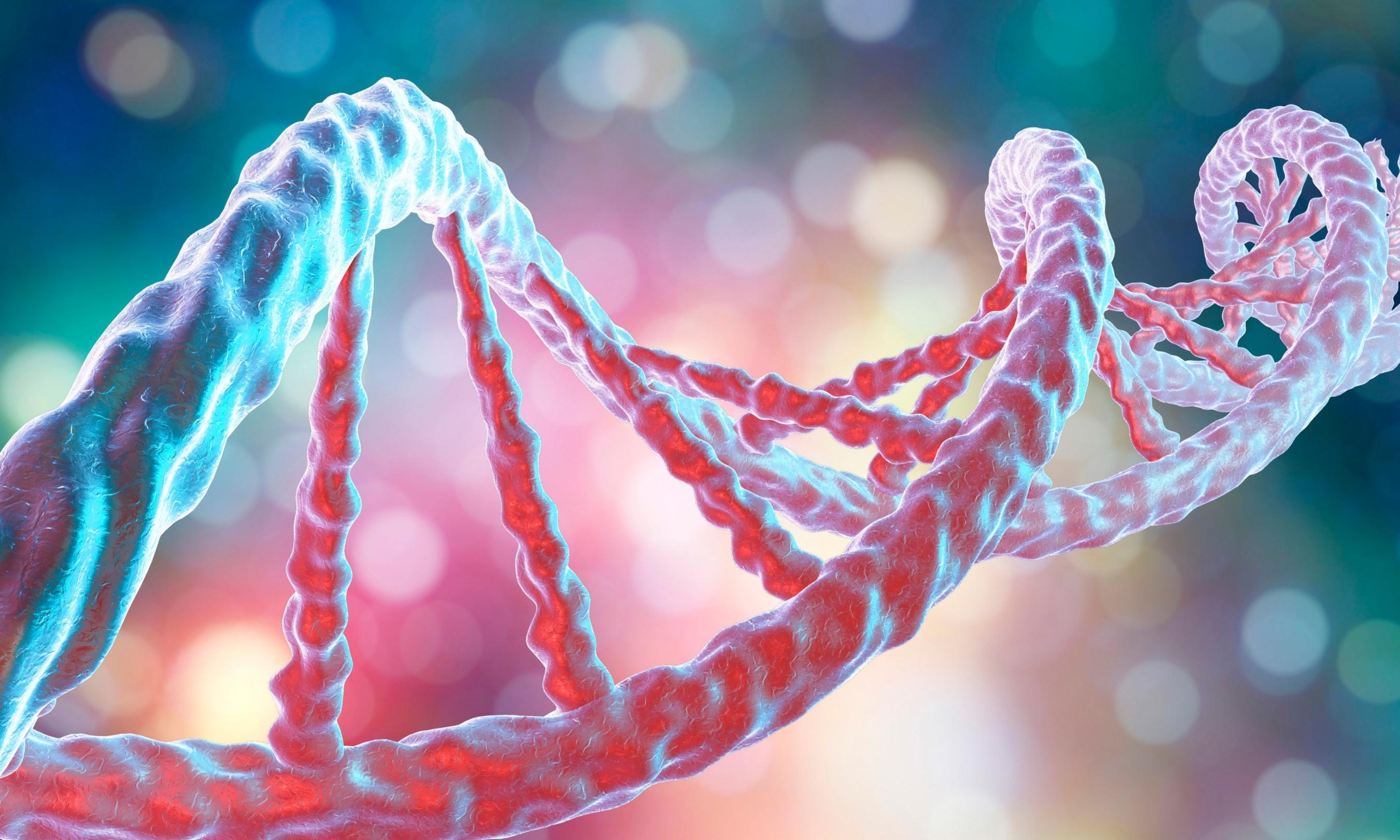 Cover image of ERC plans for 2019: Over €2 billion for Europe's most daring research ideas Cover image of ERC plans for 2019: Over €2 billion for Europe's most daring research ideas