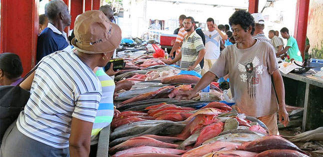 Cover image of Bet on fish to tackle malnutrition 