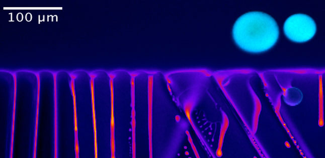 Cover image of The beauty of frozen particles Cover image of The beauty of frozen particles