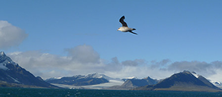 Cover image of From blue ocean to icy clouds Cover image of From blue ocean to icy clouds