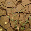 Anthropological perspective of environmental disasters