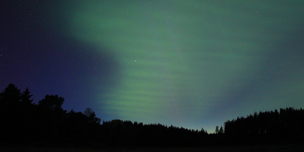 Cover image of The night sky from your window