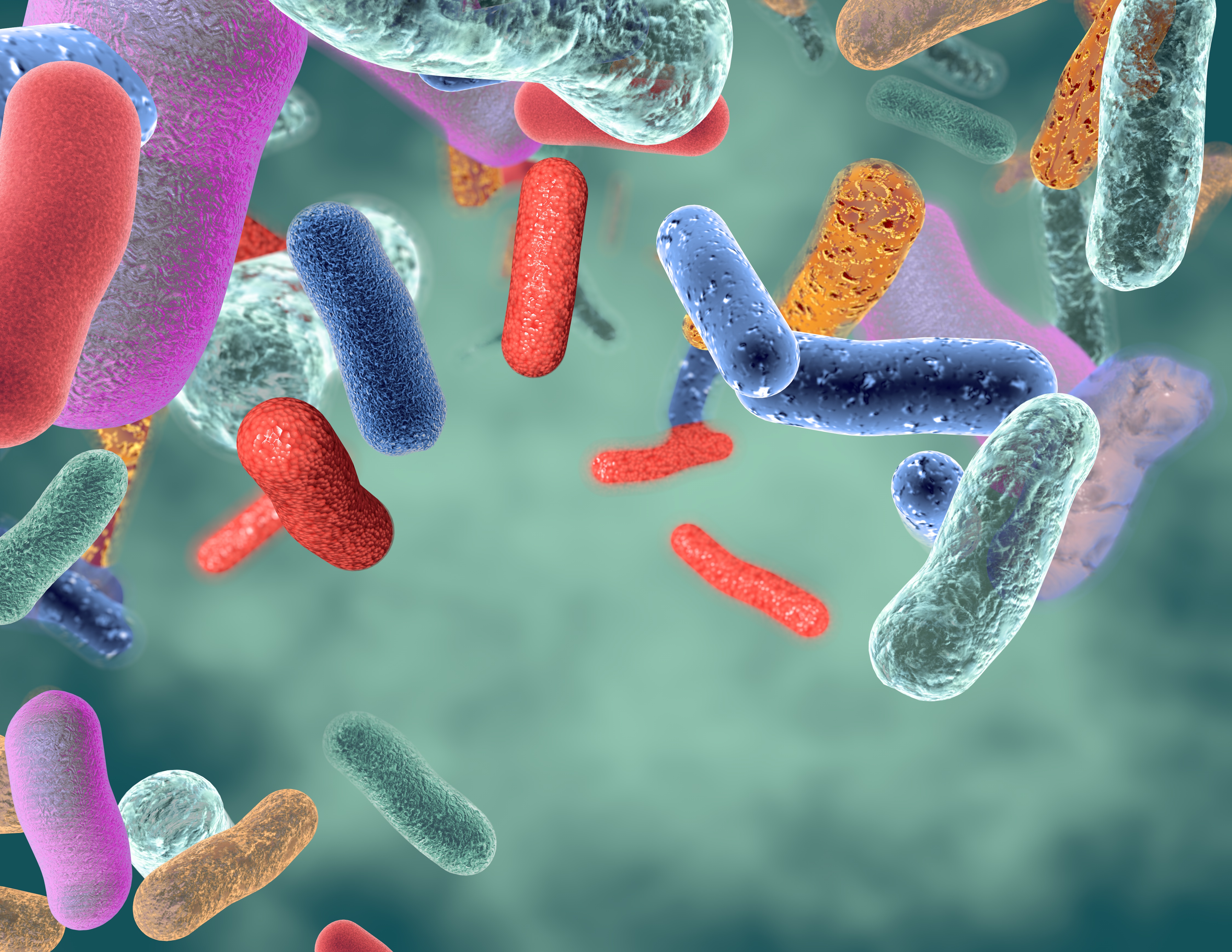 Cover image of Antibiotic resistance: How did we get here?