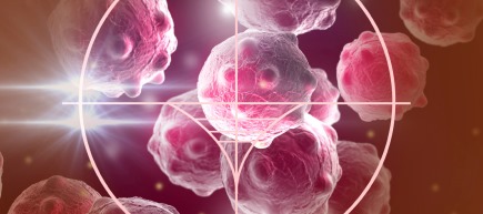 Cover image of Studied malaria, found cancer treatment Cover image of Studied malaria, found cancer treatment