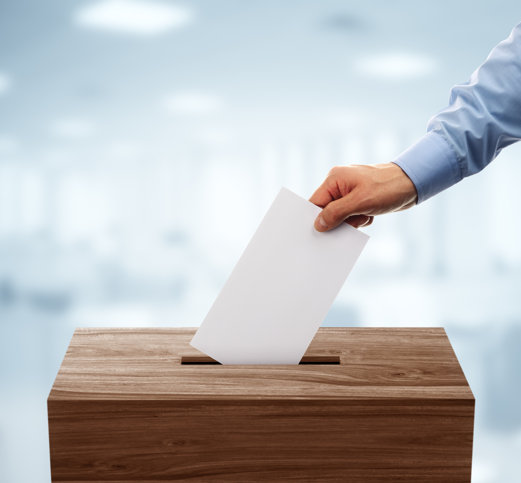 Cover image of Inside the mind of a voter Cover image of Inside the mind of a voter