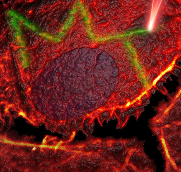 Cover image of Molecular tattooing for local, targeted drug-delivery Cover image of Molecular tattooing for local, targeted drug-delivery