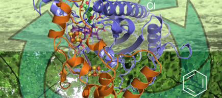 Cover image of Major breakthrough could help detoxify pollutants Cover image of Major breakthrough could help detoxify pollutants