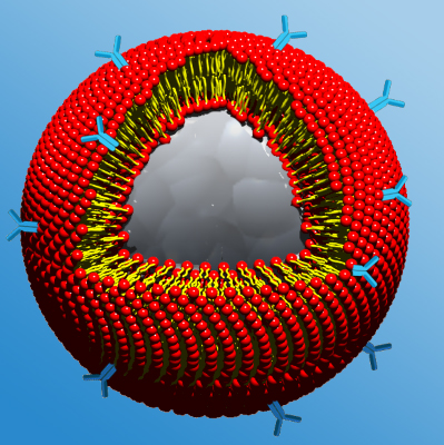 Cover image of Nanoparticles, a trap against cancer