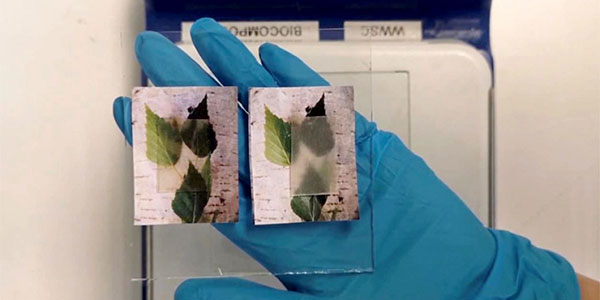 wood_nano_tech.jpg