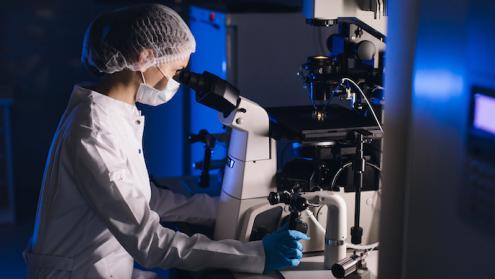 Evolutionary findings help explain origin of organs