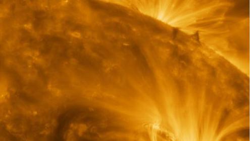 Wholesun