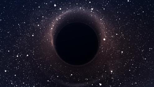 Black holes shed new light on the mystery of quantum gravity
