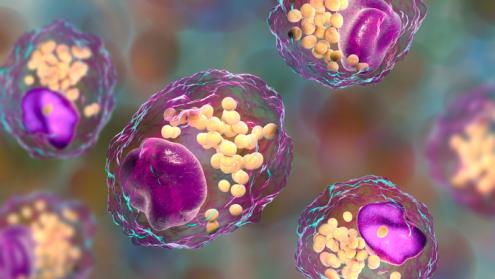 A new way to treat lupus and sepsis?