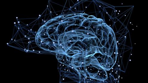 More than a means of talking, language also helps us think