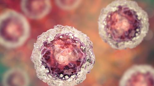 The role of metabolites in pluripotent stem cell modification