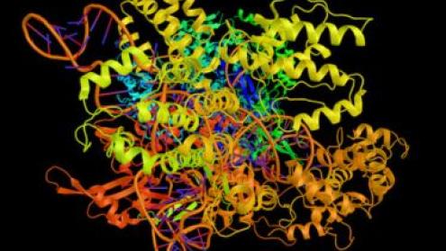 Gene editing