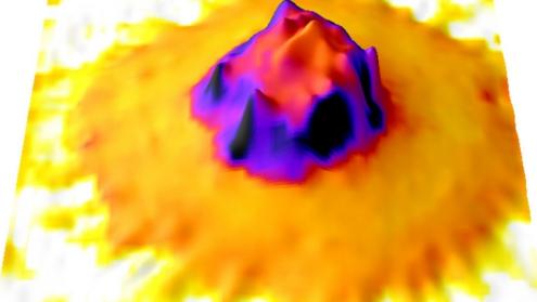 The forces that power immune defences