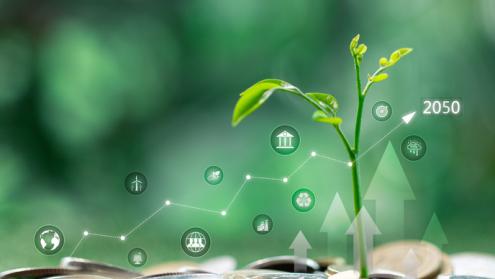 Tracing the export financing trail, from fossil fuels to renewable energy