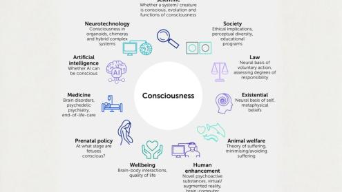 2025 Cleeremans, Mudrik and Seth  2025 Cleeremans, Mudrik and Seth