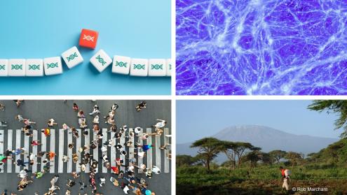 Synergy Grants 2025 Examples of projects