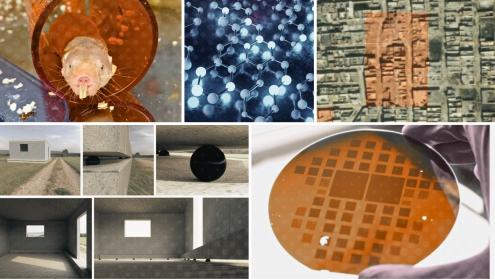 collage PoC 2025_highlight