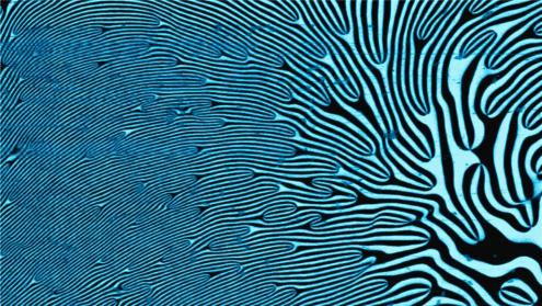 New report Frontier science behind Europe’s next-generation advanced materials