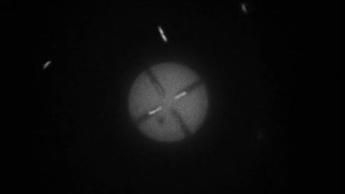 E. coli in confined spaces power symmetric discs