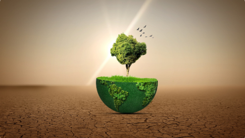 Phosphorus, politics and water for a more resilient world 